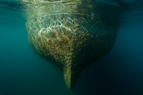 boat hull below waterline